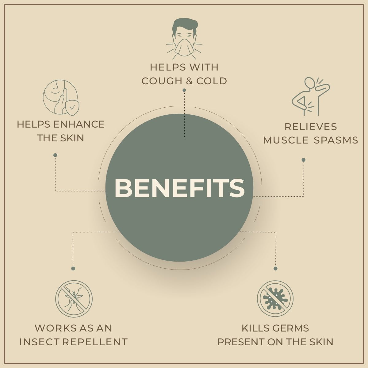 Salvia Natural Essential Oils Pennyroyal Oil (Mentha Pulegium) 100% Natural Pure Essential Oil Fights Germs, Soothes Skin Conditions, Insect Repellent Salvia Natural Essential Oils Pennyroyal Oil (Mentha Pulegium) 100% Natural Pure Essential Oil Fights Germs, Soothes Skin Conditions, Insect Repellent